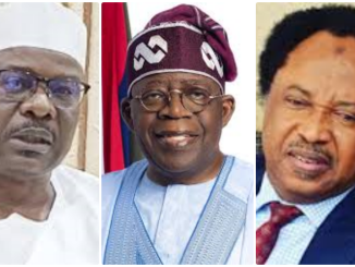 Senators Ndume, Sani Differ As Controversy Over Reform Tax Bill Rages