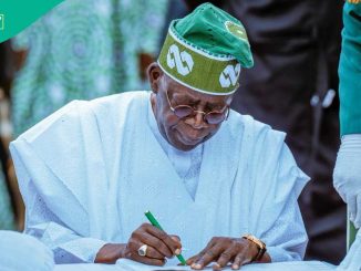 Tax Reform Bills: Northern Forum Reacts as Tinubu Rejects NEC's Decision