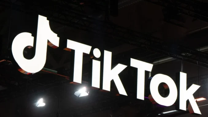 TikTok Partners NITDA, Data Science On Digital Safety Campaign In Nigeria