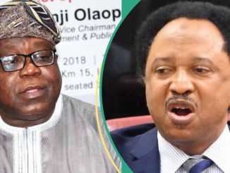 Togo, Benin Certificates: Tinubu's Govt Reacts as Shehu Sani Speaks on Alleged Civil Servants Sack