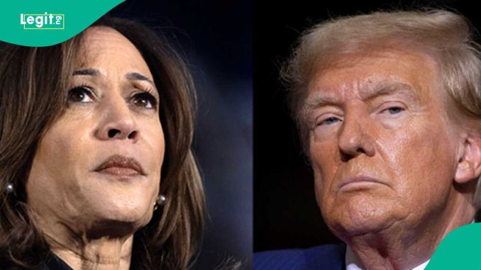 "Trump All the Way", "I Want Kamala Harris": Nigerians Reveal Who They Want to Win US Election