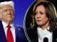 Trump vs Kamala Harris: List of Battleground States and why they will determine the winner