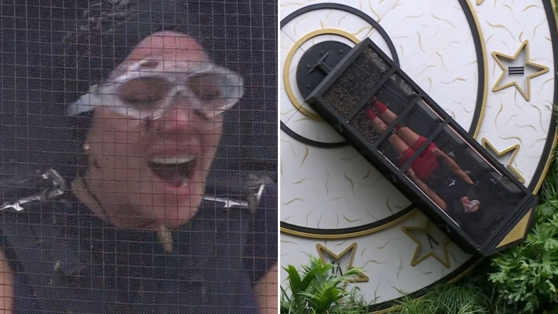 Tulisa shouts 'just get it over with' in gruelling Bushtucker Trial - as I'm A Celeb fans accuse her of 'faking' screams