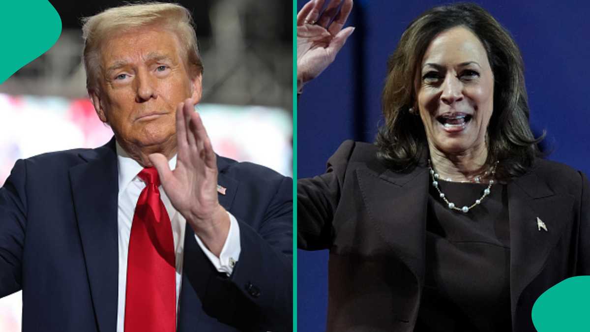 US Election 2024: Nigerians Predict Winner between Kamala Harris and Donald Trump