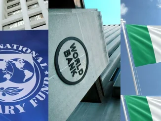 Wale Odunsi: IMF, World Bank and Nigeria’s huge debt