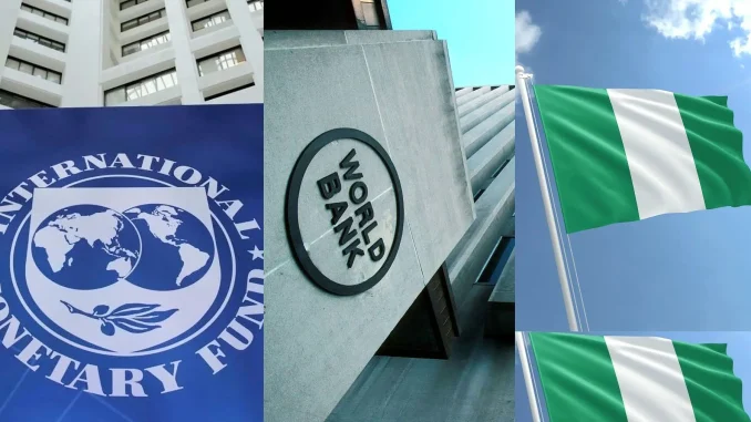 Wale Odunsi: IMF, World Bank and Nigeria’s huge debt