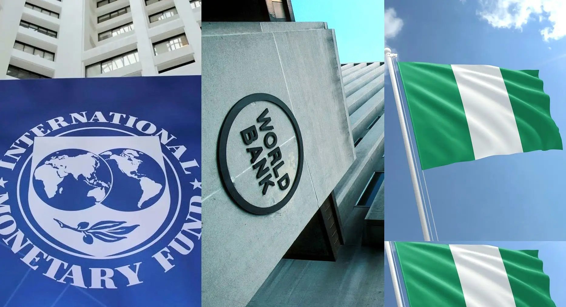 Wale Odunsi: IMF, World Bank and Nigeria’s huge debt