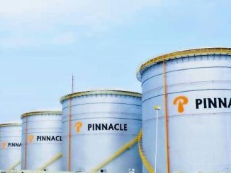 We Signed 13 Years Interconnection Agreement With Dangote –Pinnacle