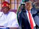 What Nigeria Will Benefit From US President-Elect, Trump’s Govt, Political Analyst Explains