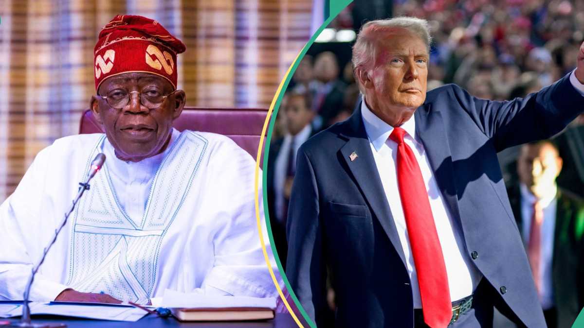 What Nigeria Will Benefit From US President-Elect, Trump’s Govt, Political Analyst Explains