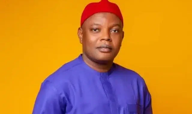 Why I Appointed Aides On Garden Egg, Yam, And Pepper – Enugu LG Chairman