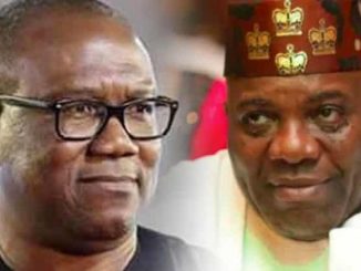 'Emi Lokan' - Peter Obi Got It Wrong - Doyin Okupe