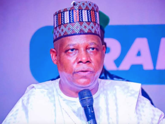 Shettima bans newspaper ads for birthday