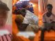 Woman in sh0ck as she meets her gateman relaxing on her bed (VIDEO)