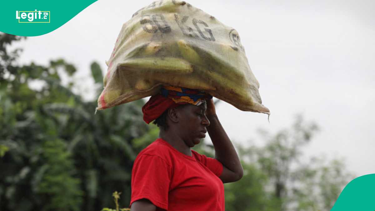 Women Tipped to Lead Nigeria’s Agricultural Revival as Farming Population Declines