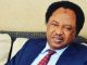 Senator Shehu Sani