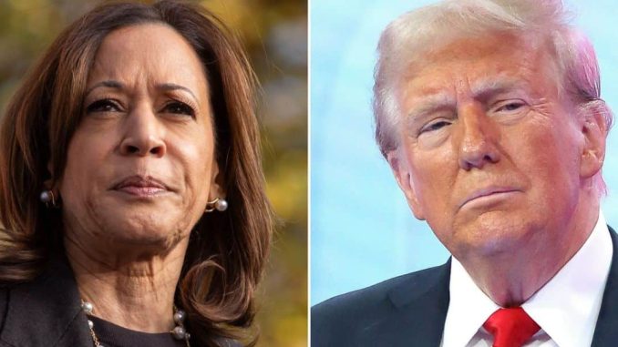 List of states won by Trump and Kamala with their electoral votes value