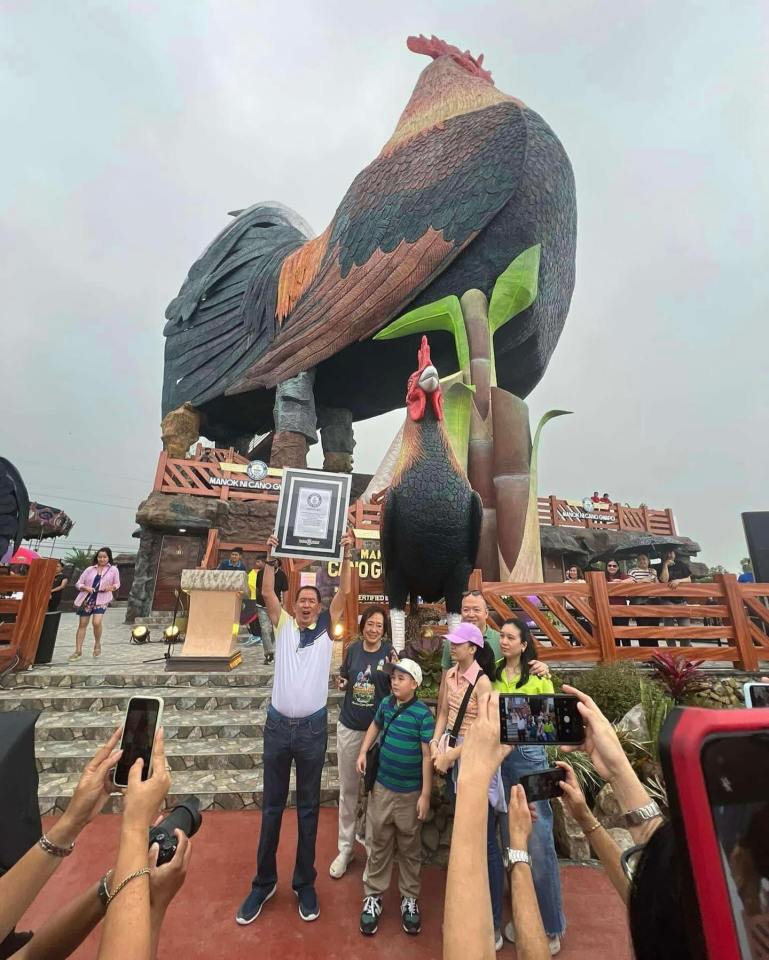 It was recently given the Guinness World Record title for being the largest chicken shaped building, standing at 114ft