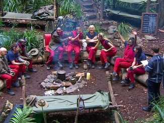 Who left I'm a Celeb last night?