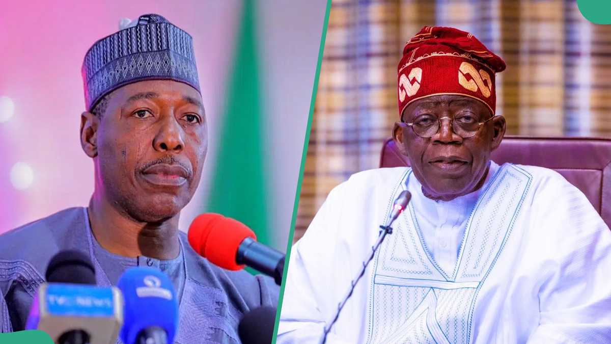 “Why We Asked Tinubu to Pause on Tax Reform Bill,” Northern Govs Speak