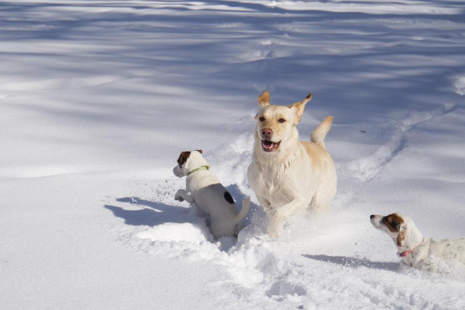 The country is set to be blanketed in the white stuff from this weekend