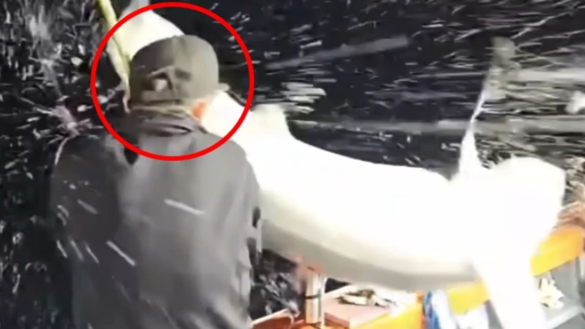 Watch terrifying moment two anglers are wiped out by flying SHARK that leaps from the dark onto their boat