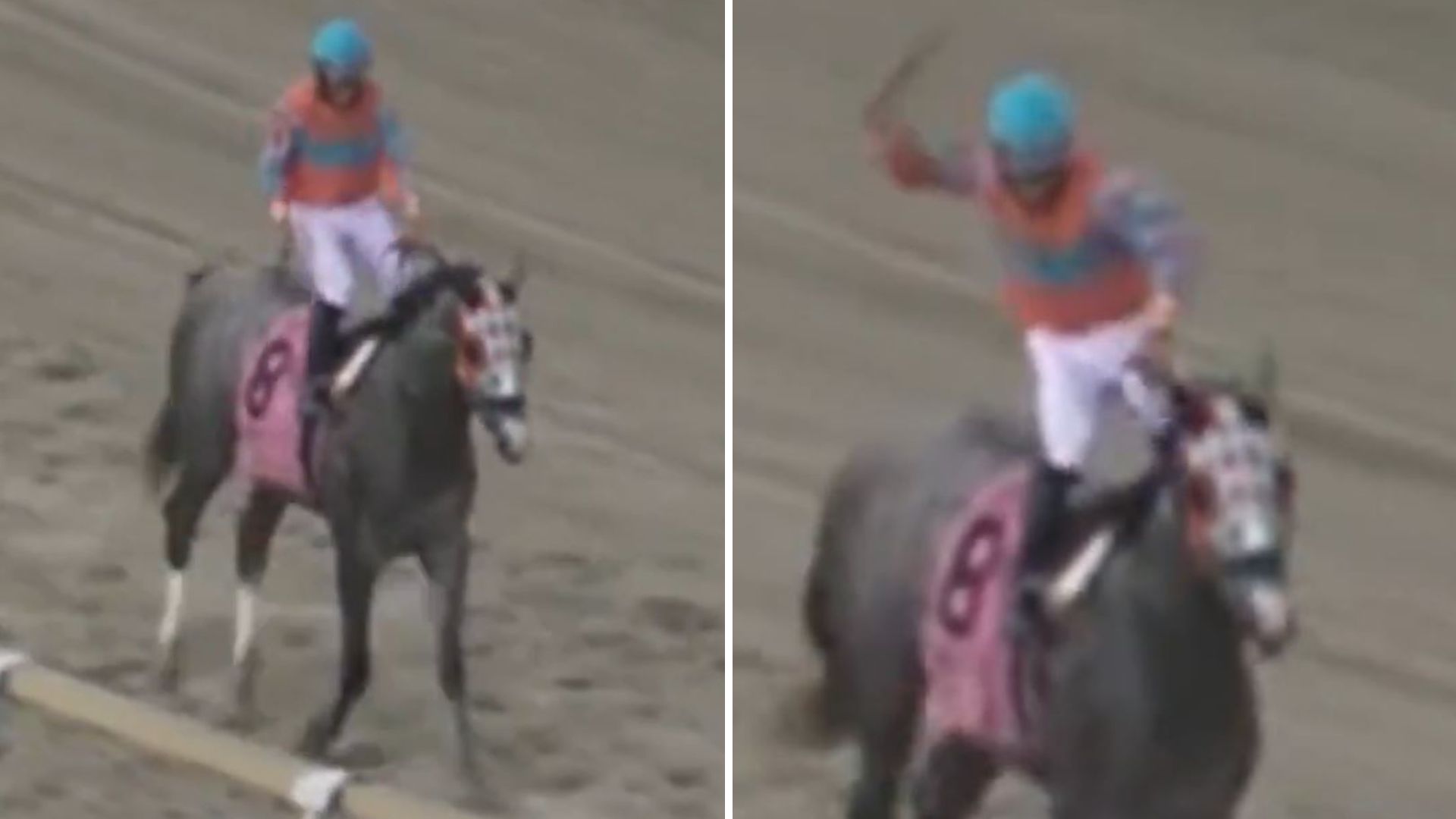 Punters demand lifetime ban for jockey as 'reprehensible' footage shows him smack horse in face after winning race