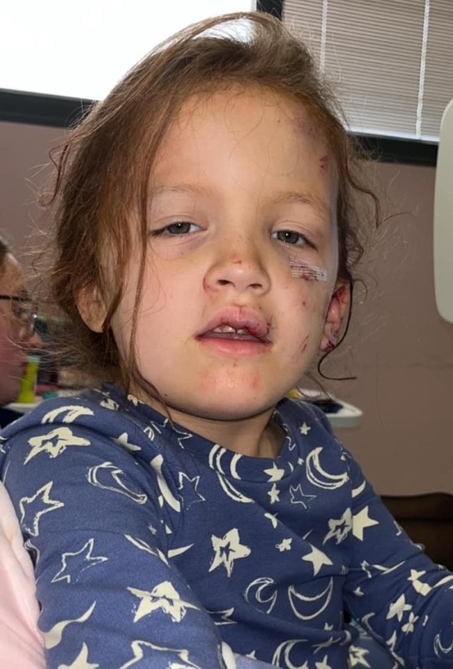 Rose suffers from nightmares and is awaiting play therapy from her school