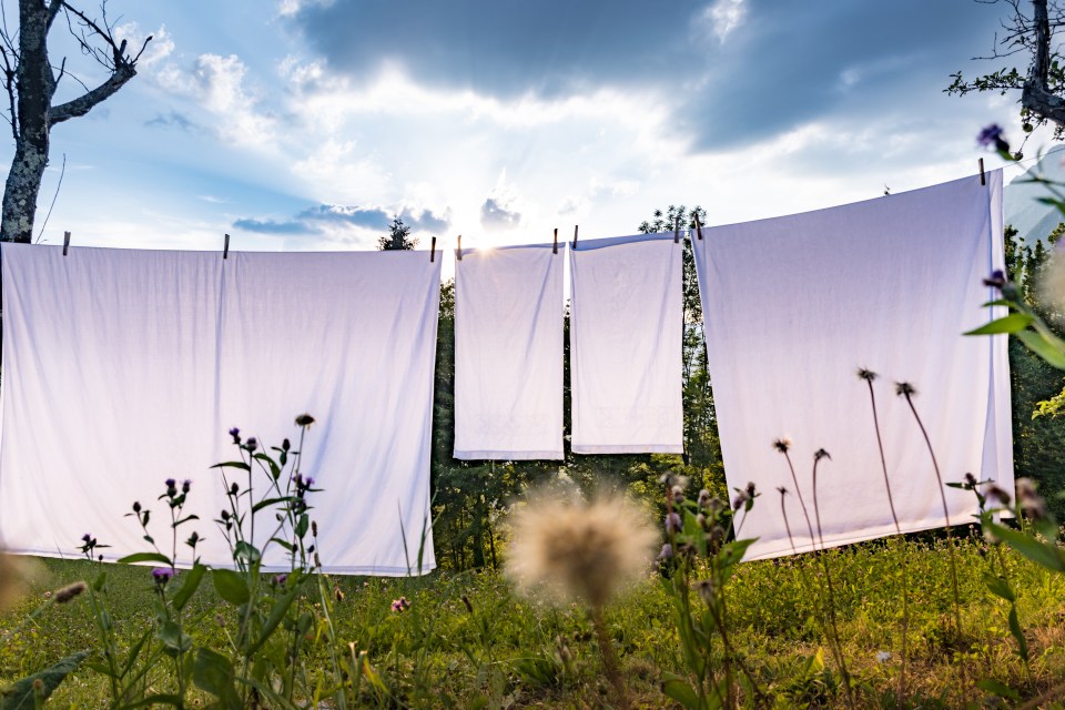 And it helps give the feeling of having sun-dried sheets all year round