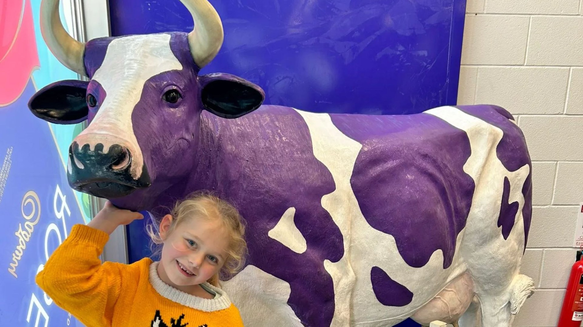 Have a sweet day out at magic Cadbury World from Santa's performance to the 4D Chocolate Adventure