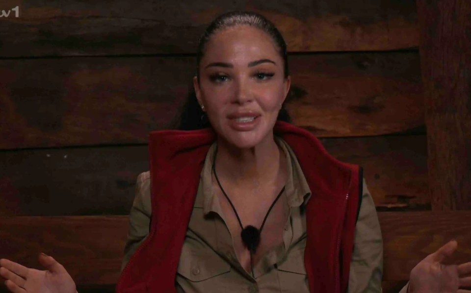 Tulisa was the third celebrity to be evicted from the show