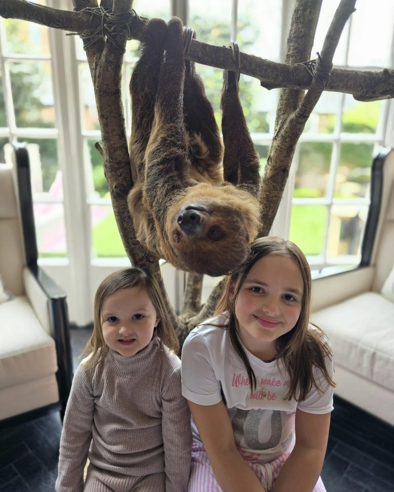 Tamara's daughter Fifi with the wild sloth at their home