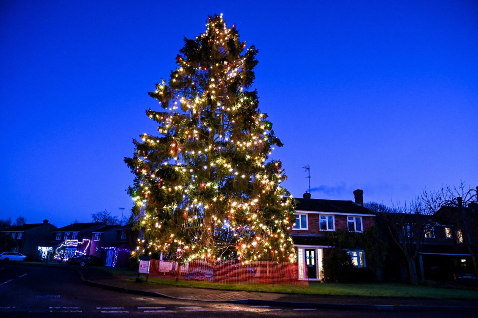 Avril and Christopher Rowlands need a cherry-picker to decorate it with thousands of lights