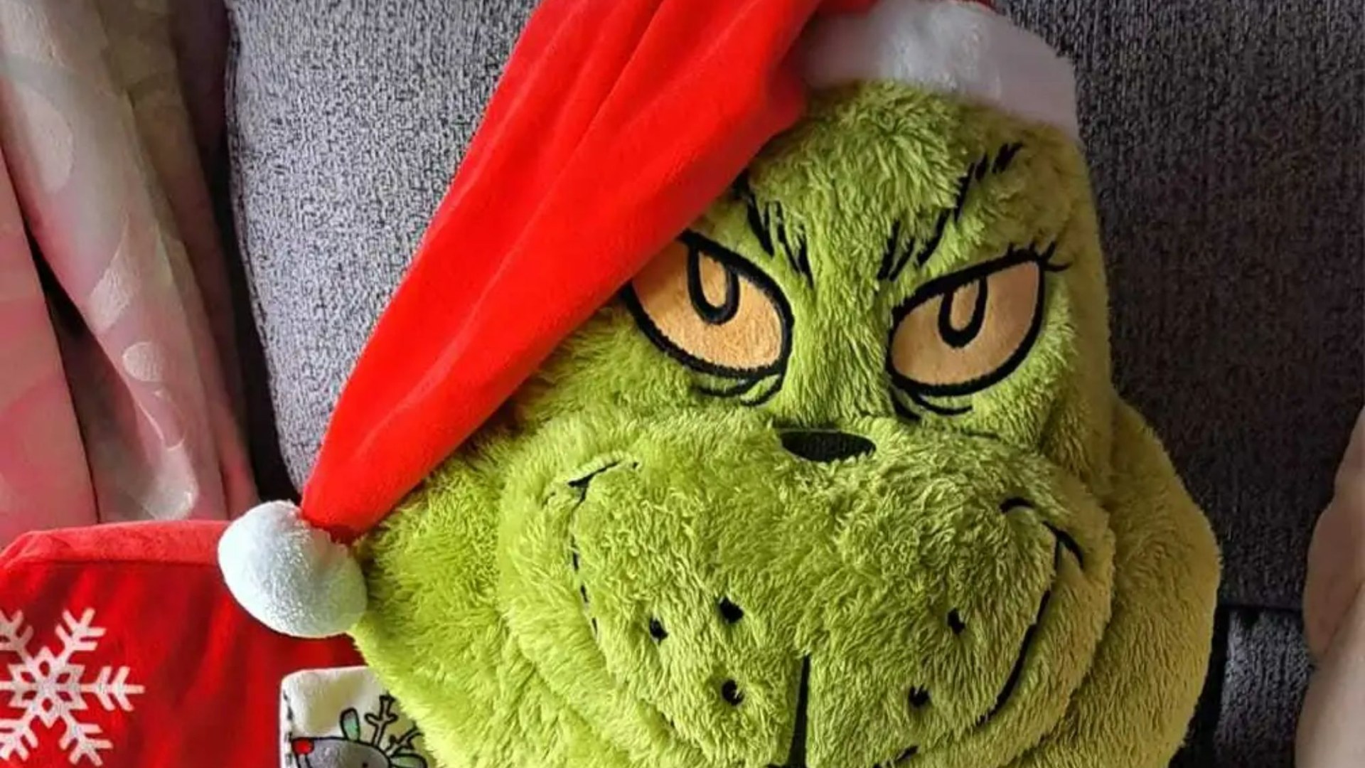 Bargain hunters are racing to snap up Aldi’s huge £12.99 Grinch teddy for Christmas - it is the perfect stocking filler