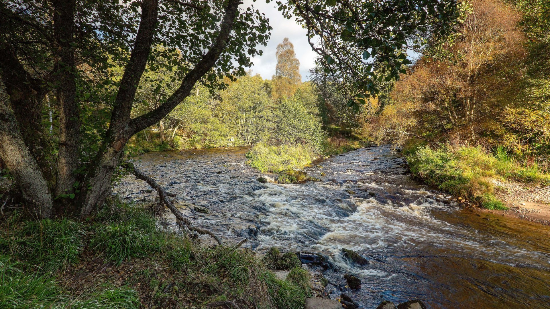 Exactly how much of Scotland is owned by the Royal Family shown in new interactive map