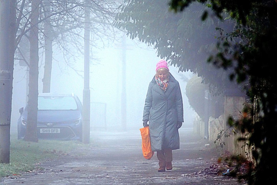 A blast of warm air will bring some weather joy