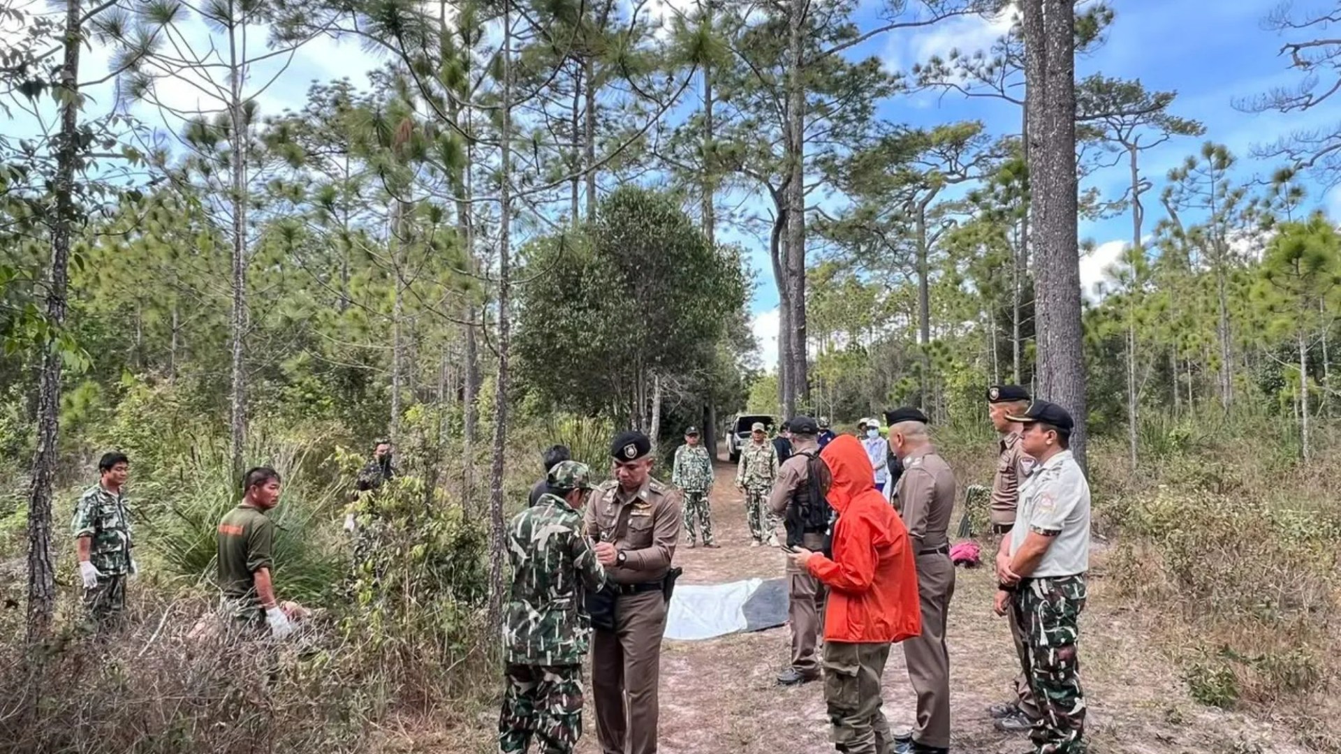 Elephant tramples mum, 49, to death while she tried to run away in horror attack at national park in Thailand – The Scottish Sun