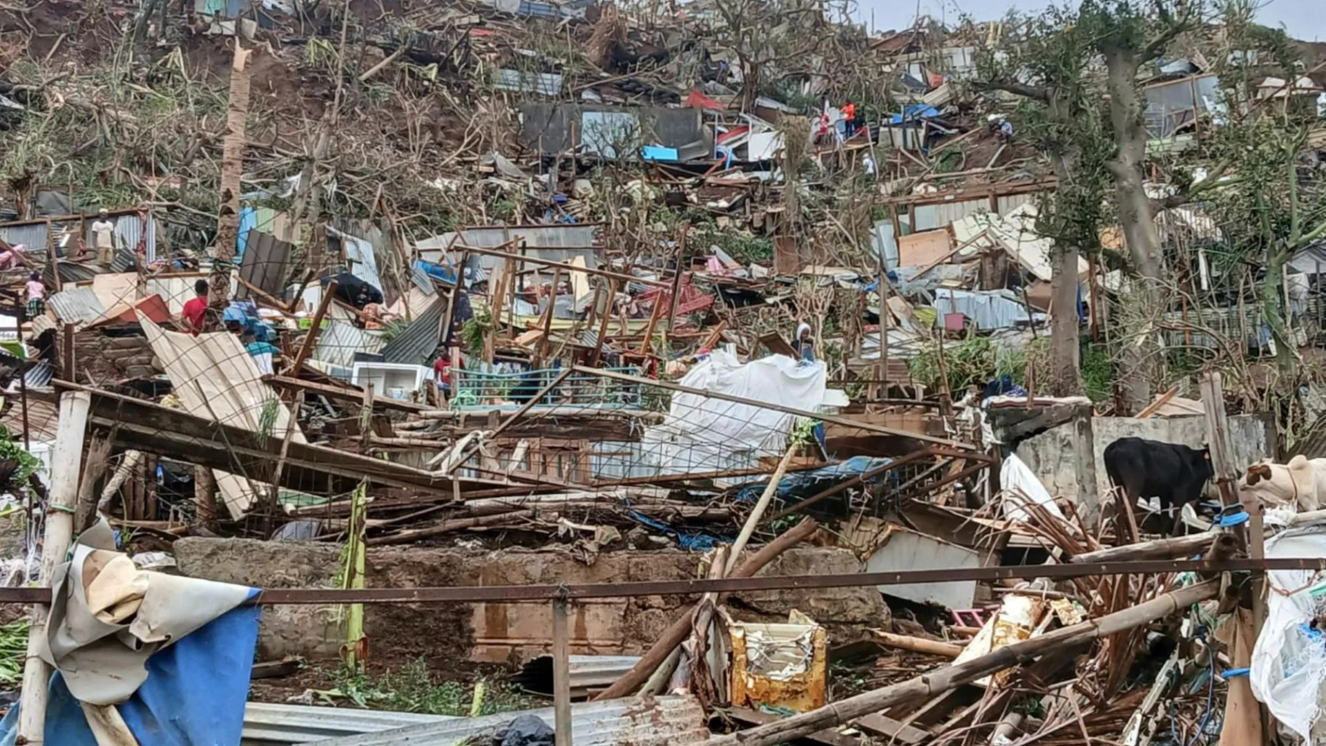 Up to 1,000 people feared dead after most powerful cyclone in 90 YEARS batters French island with destruction for miles