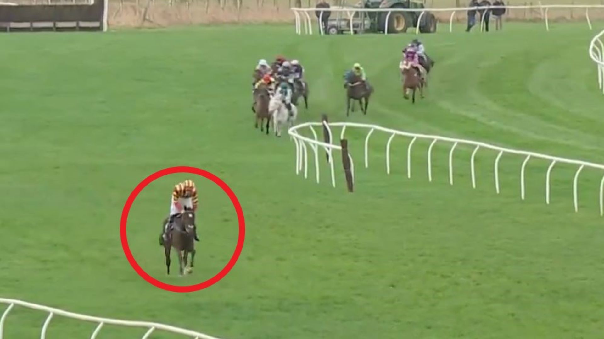 Punters slate nine 'terrible rides' as horse and jockey 'gifted' 30-length lead but stewards say 'nothing to report'