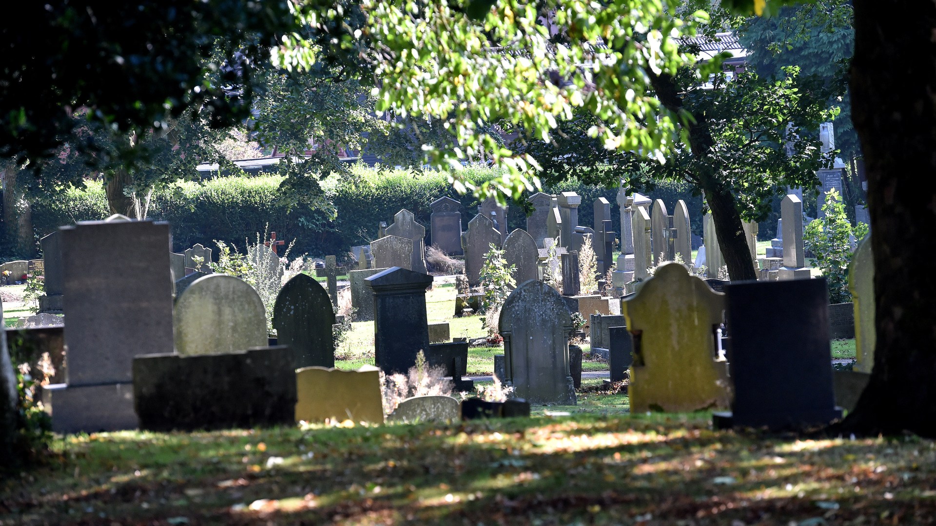 Mass grave of babies’ bodies is uncovered in UK town - just yards away from remains of 300 tragic infants