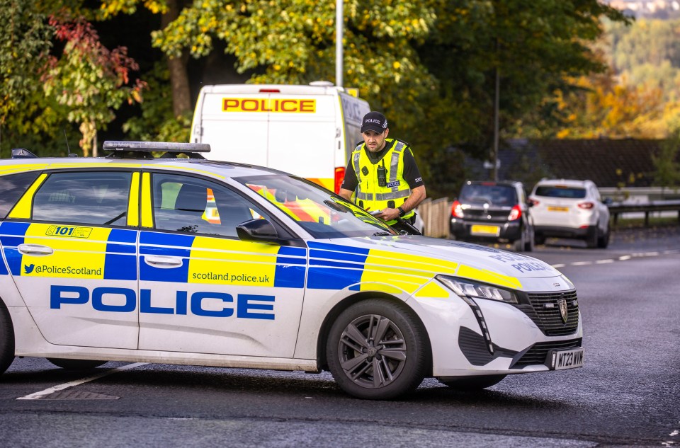 Emergency crews raced to General's Gate in Uddingston after the alarm was raised