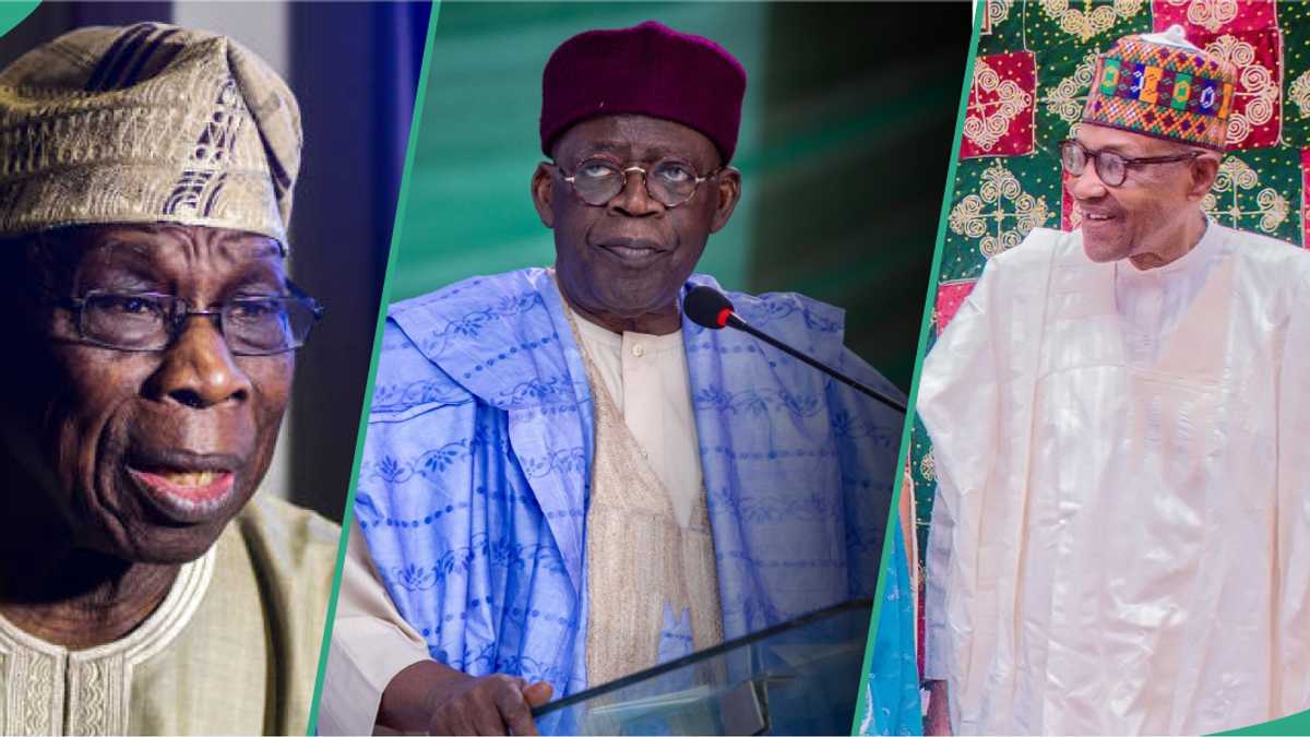 Ana Neman Obasanjo, IBB, Buhari, Jonathan Su Hadu Su Kifar da Tinubu a 2027