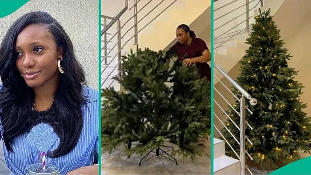 Lady Goes Viral after Mentioning Price of Christmas Tree She Bought to Decorate House, Video Trends