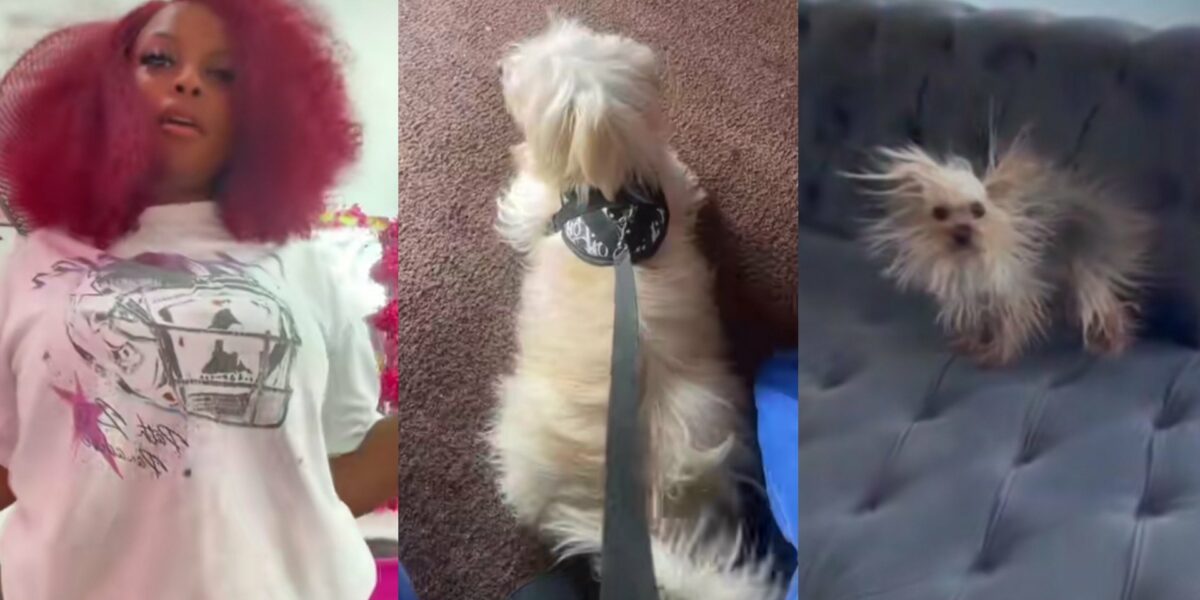 Lady cries out after leaving her dog with her mom, only to see it looking different later