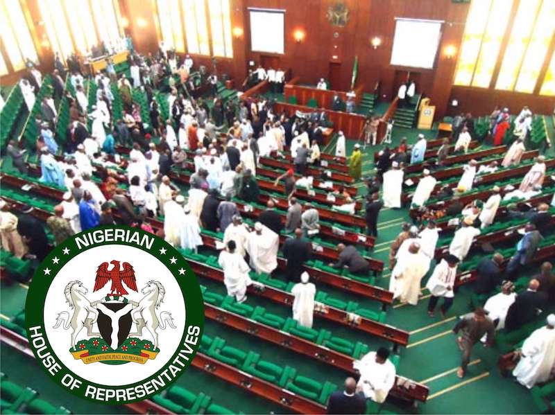 JUST IN: Reps Begin Probe Of NSIA