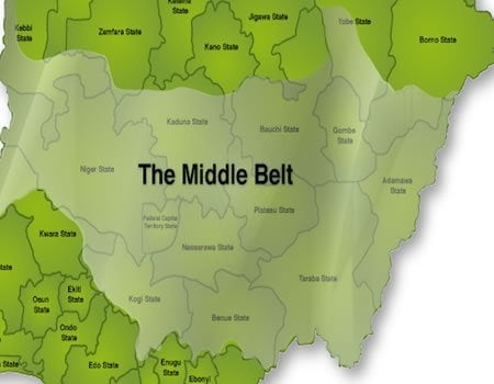 Middle Belt Forum Calls For Scrutiny Of Tax Reform Bills