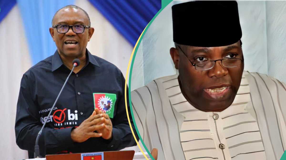 Okupe Spits Fire, Predicts More Defections from LP, Uncovers What Peter Obi May Do Next