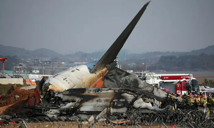 Plane carrying 181 passengers crashes in South Korea