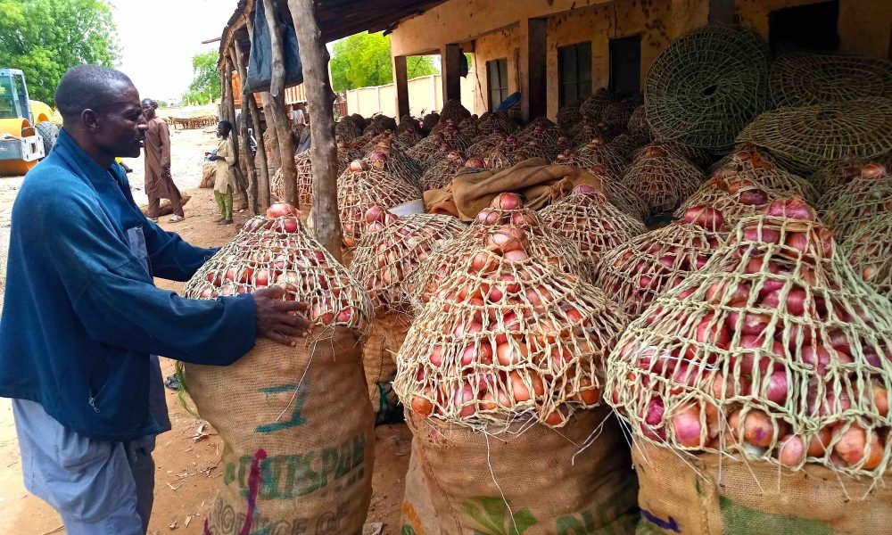 Price Of Onion In Nigeria Soars By 200% Ahead Of Christmas, New Year Celebrations