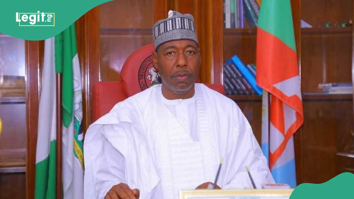 Tax Reform Bills: Gov Zulum Finally Mentions What Will Happen If Tinubu Uses His Power